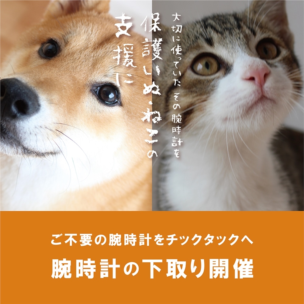 【チックタック仙台エスパル】腕時計の下取り始まりました!わんにゃん保護支援!🐶🐈