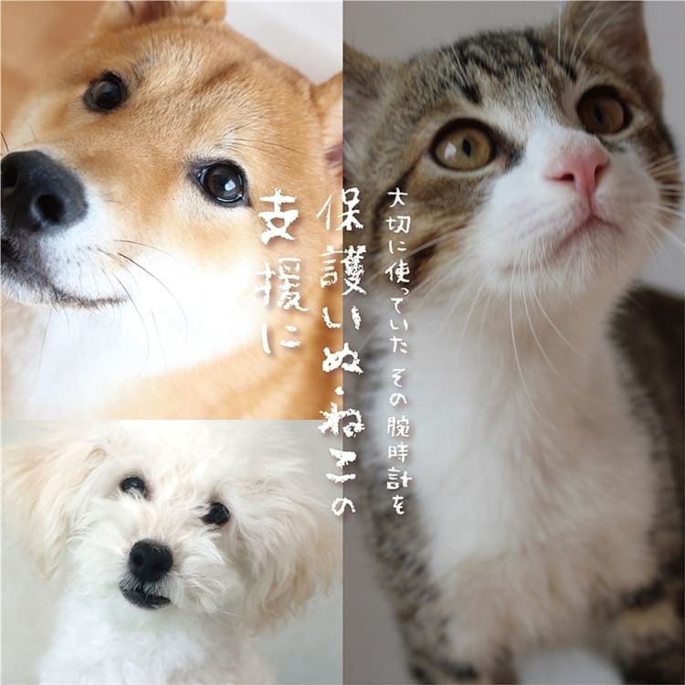 【腕時計下取り】保護いぬ・ねこの支援に。お得なキャンペーンのお知らせも!