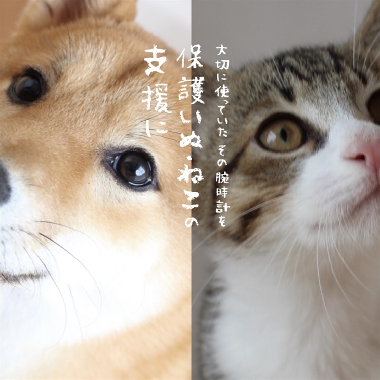 腕時計 下取りキャンペーン開催!