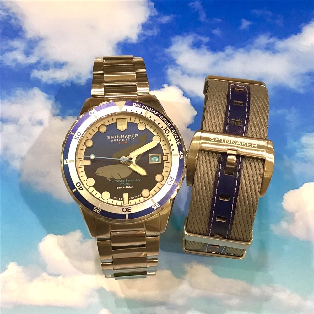 【SPINNAKER】ドルフィン再入荷!