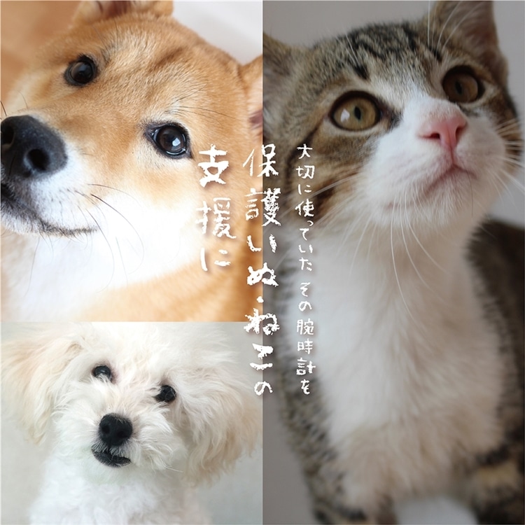 腕時計下取りキャンペーン★明日まで!!★