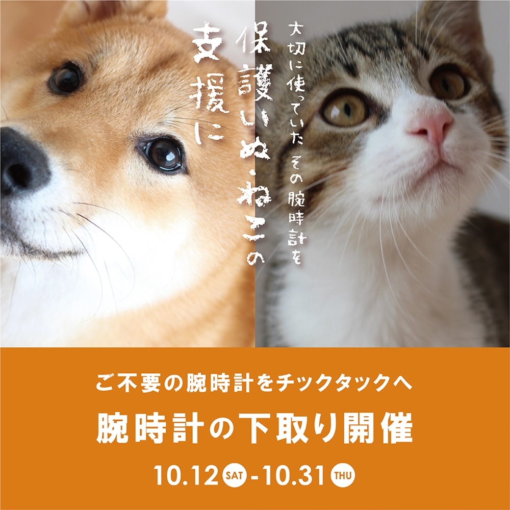 【新潟店】10月31日まで!大切に使っていた腕時計を保護いぬ・ねこの支援に