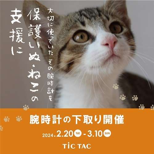 下取りキャンペーン開催*保護いぬ・ねこ支援