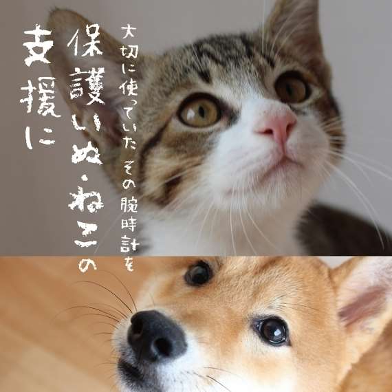 2月20日下取りキャンペーンスタート【TiCTACなんばパークス店】
